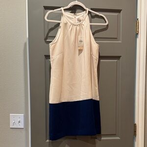 Banana Republic Cream and Navy colorblock Shift Dress